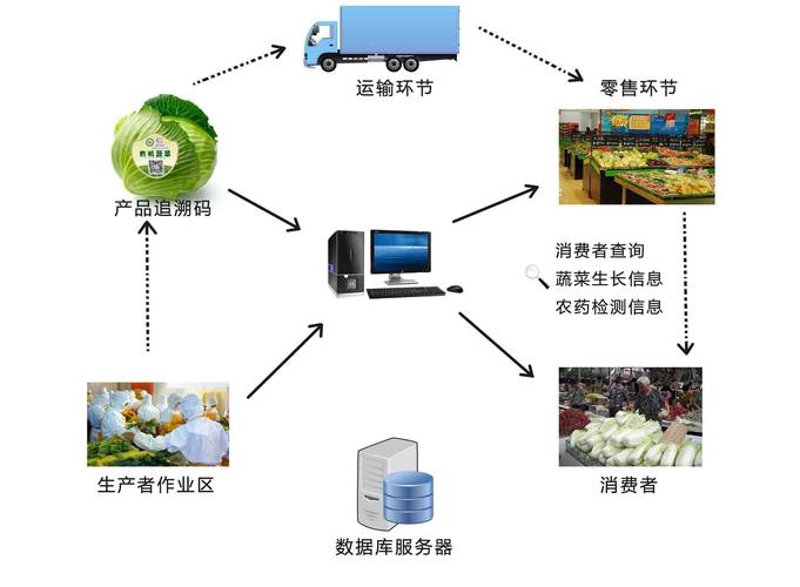 选购供应链溯源系统：一份实战指南